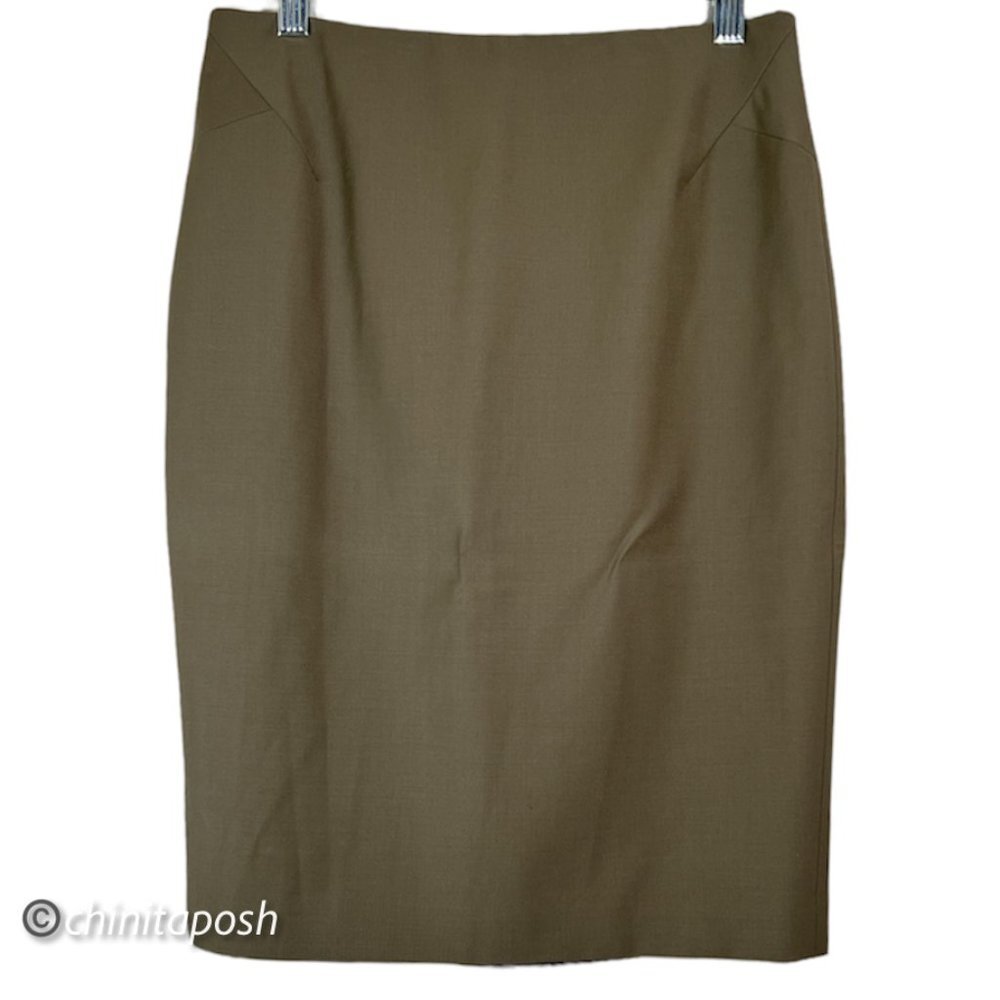 Ann Taylor Skirt